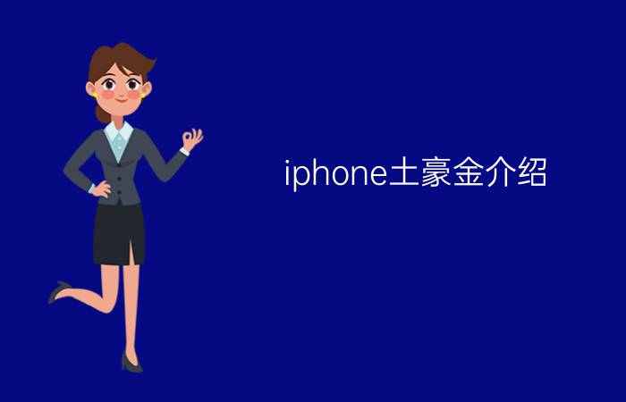 iphone土豪金介绍