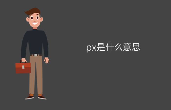 px是什么意思