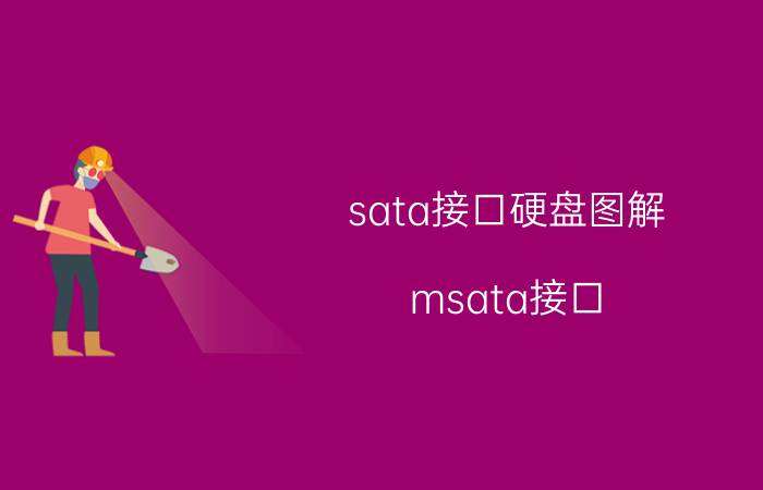 sata接口硬盘图解（msata接口）