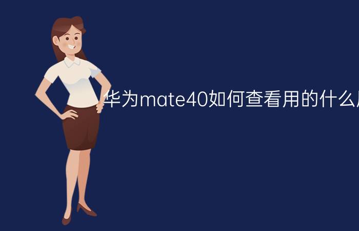 华为mate40如何查看用的什么屏