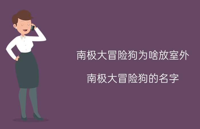 南极大冒险狗为啥放室外（南极大冒险狗的名字）