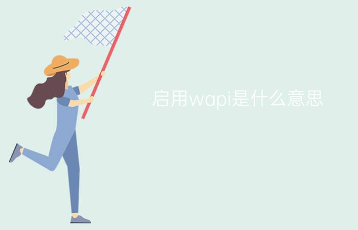 启用wapi是什么意思