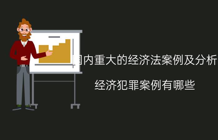 国内重大的经济法案例及分析(经济犯罪案例有哪些)