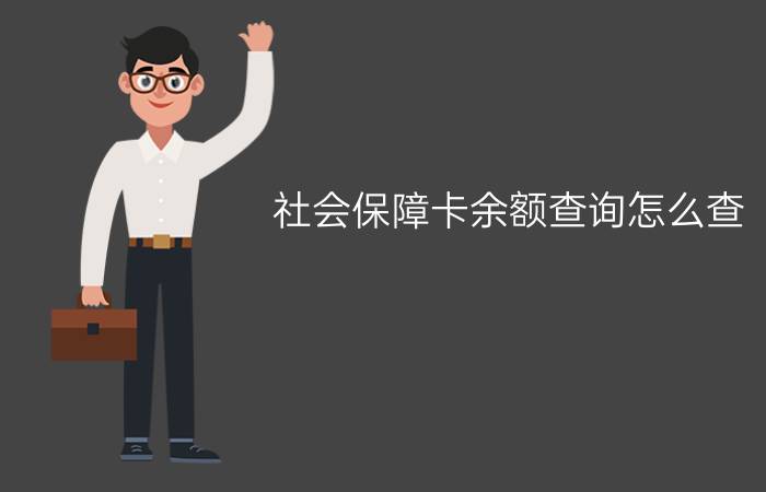 社会保障卡余额查询怎么查