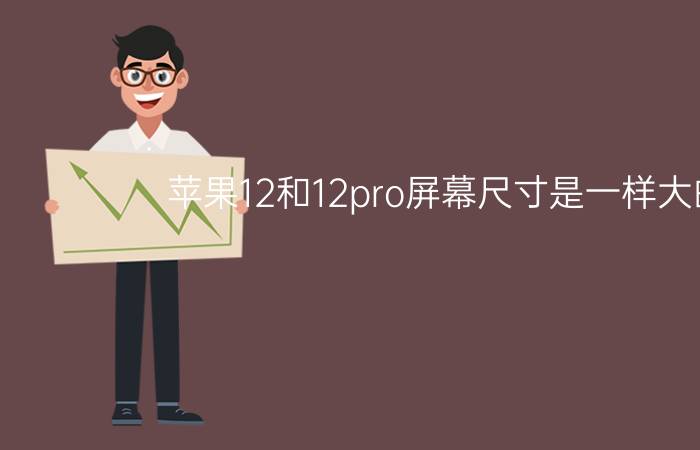 苹果12和12pro屏幕尺寸是一样大的吗