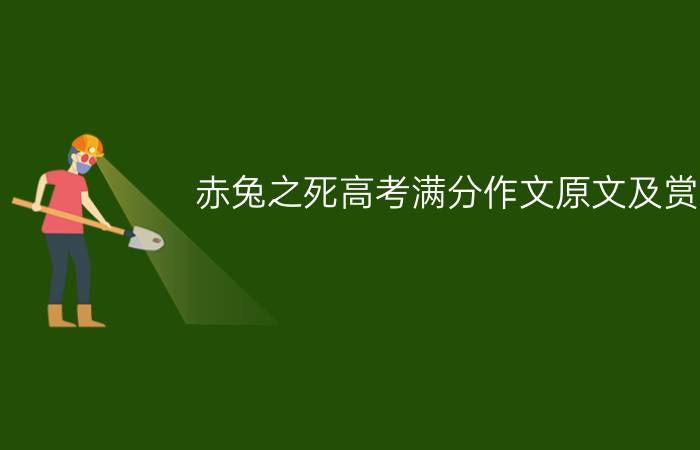 赤兔之死高考满分作文原文及赏析