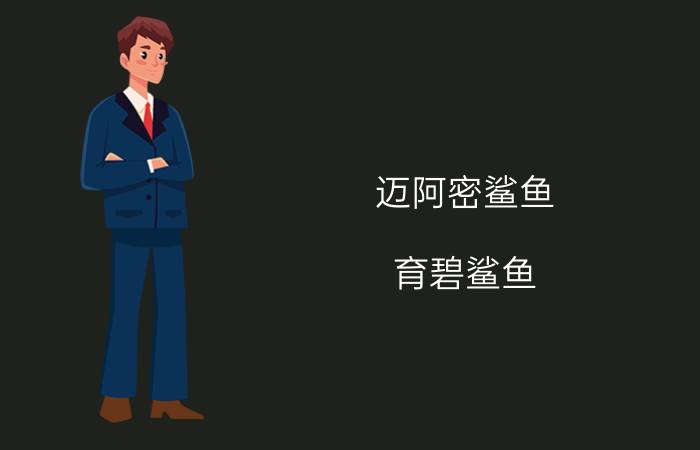 迈阿密鲨鱼（育碧鲨鱼）