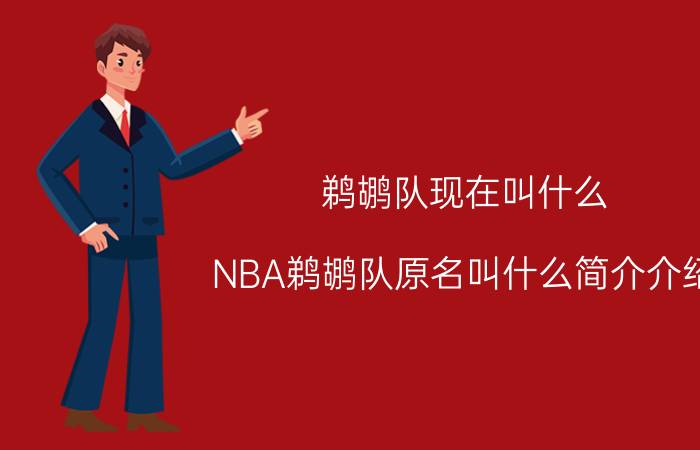 鹈鹕队现在叫什么（NBA鹈鹕队原名叫什么简介介绍）