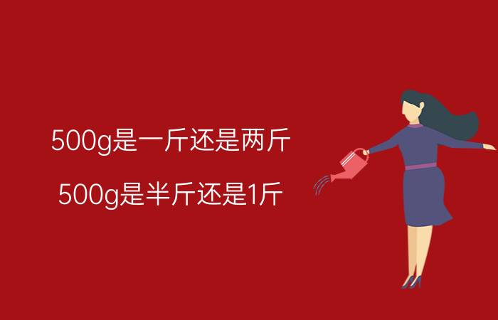 500g是一斤还是两斤（500g是半斤还是1斤）