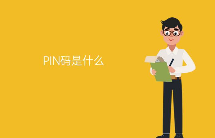 PIN码是什么