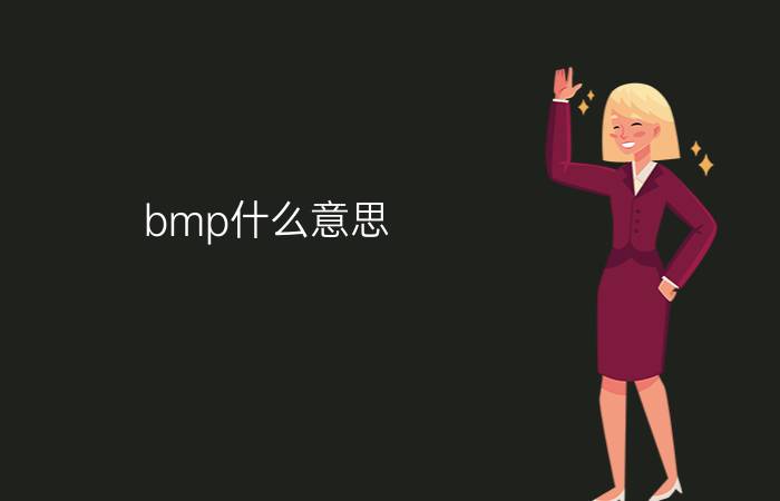 bmp什么意思