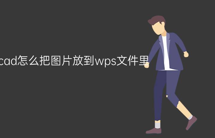 cad怎么把图片放到wps文件里