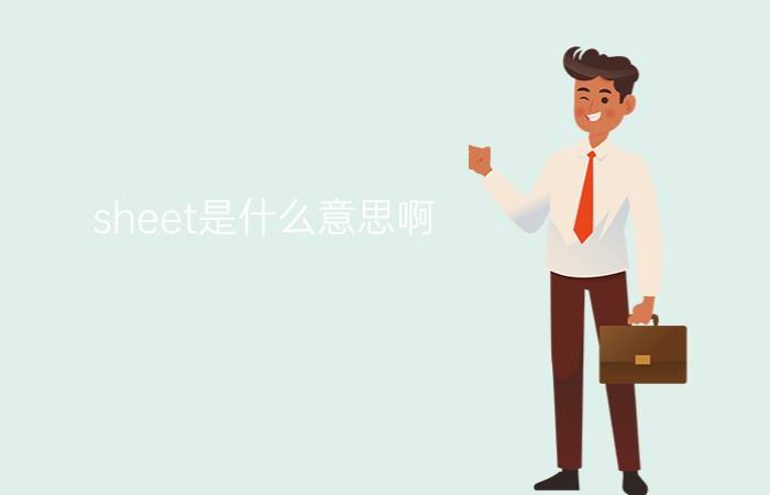 sheet是什么意思啊