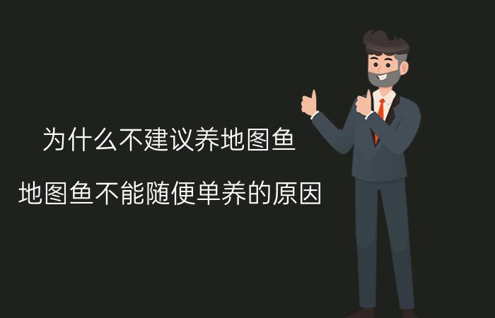 为什么不建议养地图鱼（地图鱼不能随便单养的原因）