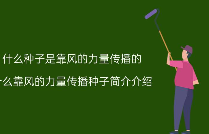 什么种子是靠风的力量传播的（什么靠风的力量传播种子简介介绍）