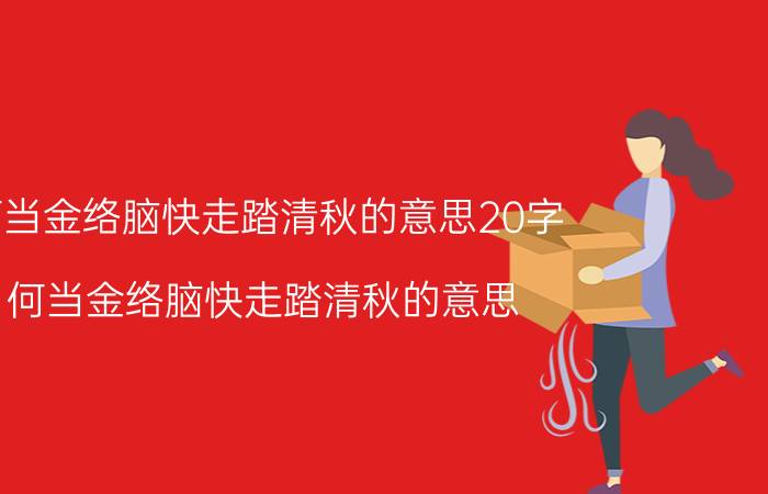 何当金络脑快走踏清秋的意思20字（何当金络脑快走踏清秋的意思）