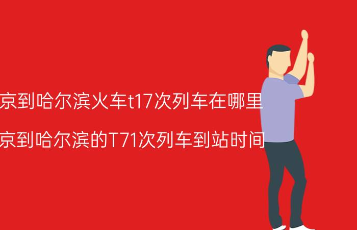 北京到哈尔滨火车t17次列车在哪里（北京到哈尔滨的T71次列车到站时间）