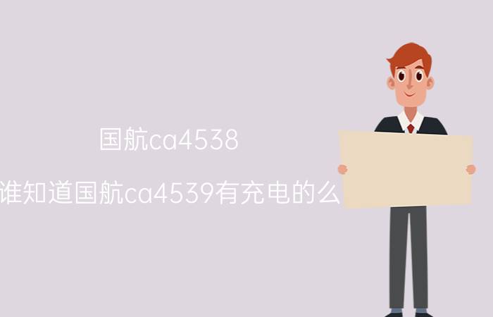 国航ca4538（谁知道国航ca4539有充电的么）