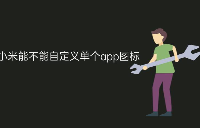 小米能不能自定义单个app图标