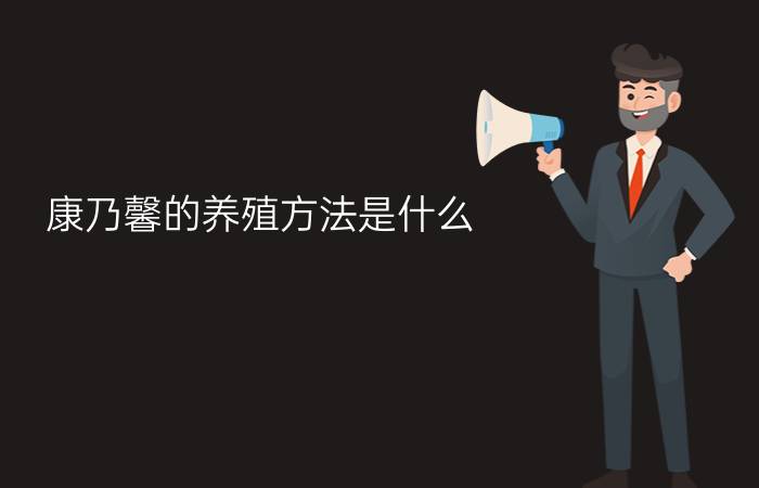 康乃馨的养殖方法是什么