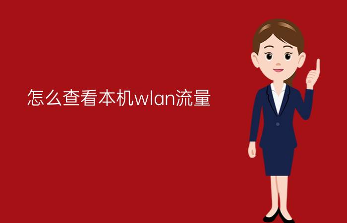 怎么查看本机wlan流量