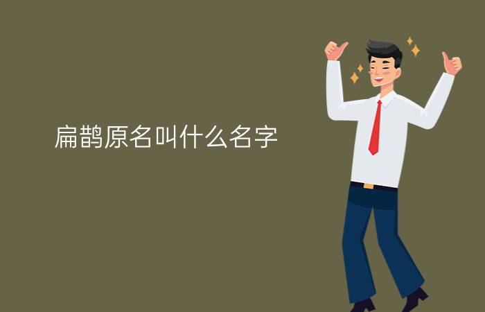 扁鹊原名叫什么名字