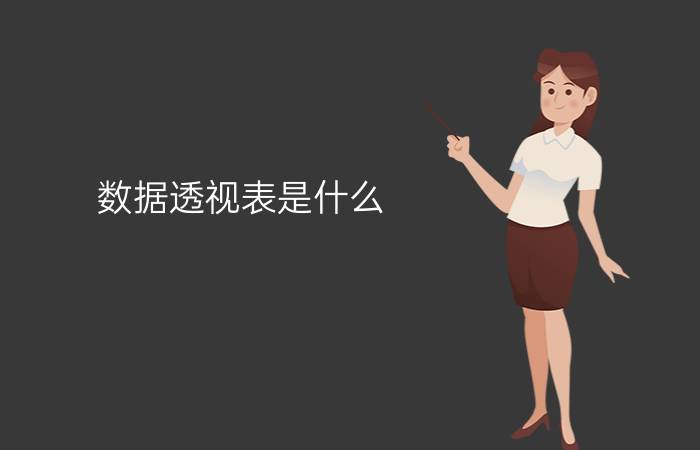 数据透视表是什么