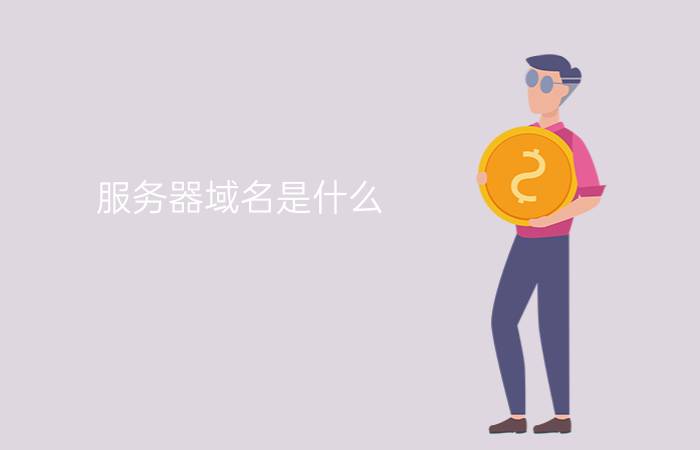 服务器域名是什么? 怎样实现输入IP或域名分别访问不同的页面？