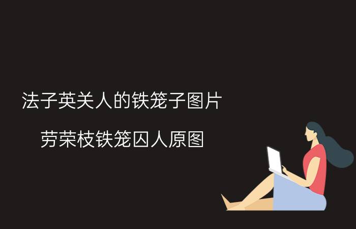 法子英关人的铁笼子图片(劳荣枝铁笼囚人原图)