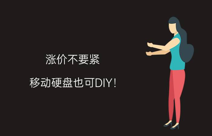 涨价不要紧，移动硬盘也可DIY！