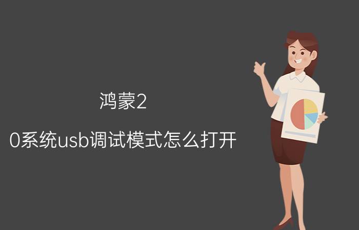 鸿蒙2.0系统usb调试模式怎么打开