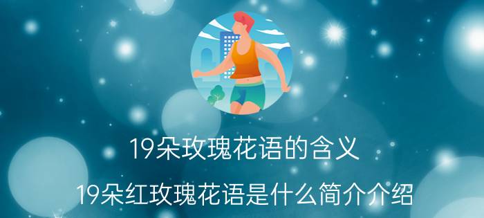 19朵玫瑰花语的含义（19朵红玫瑰花语是什么简介介绍）