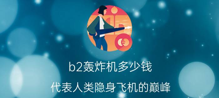 b2轰炸机多少钱（代表人类隐身飞机的巅峰）