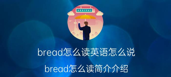 bread怎么读英语怎么说（bread怎么读简介介绍）