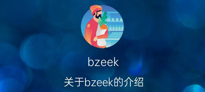 bzeek（关于bzeek的介绍）