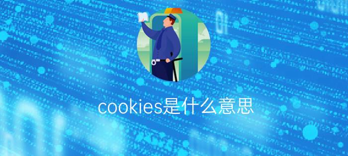 cookies是什么意思