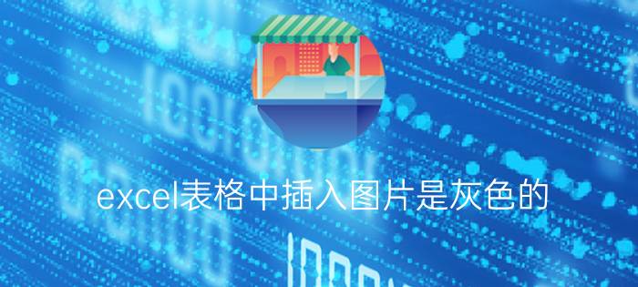 excel表格中插入图片是灰色的