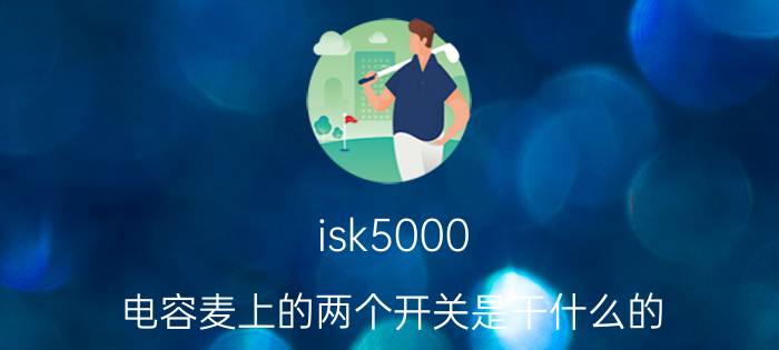 isk5000（电容麦上的两个开关是干什么的）