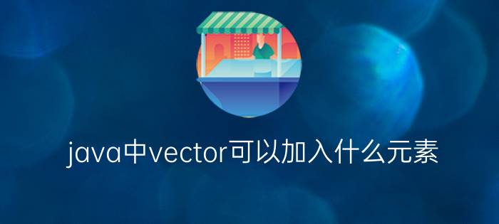 java中vector可以加入什么元素