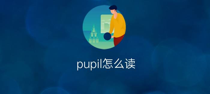 pupil怎么读