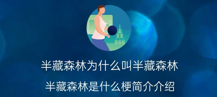 半藏森林为什么叫半藏森林（半藏森林是什么梗简介介绍）