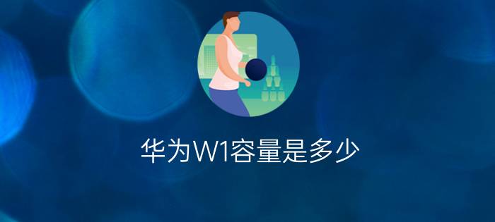 华为W1容量是多少