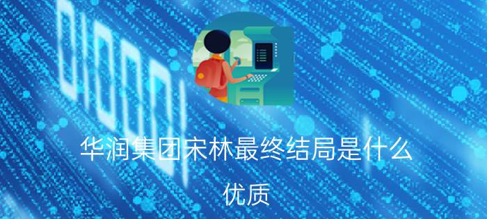 华润集团宋林最终结局是什么？优质