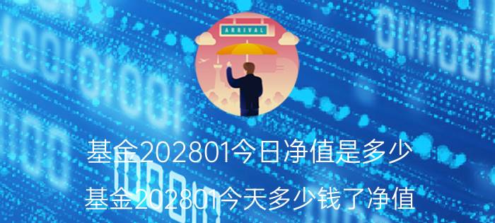 基金202801今日净值是多少（基金202801今天多少钱了净值）