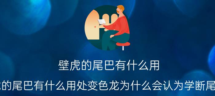 壁虎的尾巴有什么用(壁虎的尾巴有什么用处变色龙为什么会认为学断尾术是)