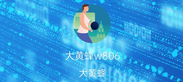 大黄蜂w806(大黄蜂)