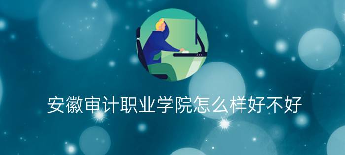 安徽审计职业学院怎么样好不好