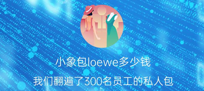 小象包loewe多少钱（我们翻遍了300名员工的私人包）