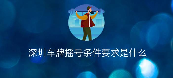 深圳车牌摇号条件要求是什么