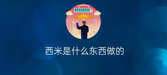 西米是什么东西做的